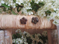 Fleurs Marron Pailleté
