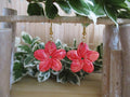 Hibiscus Corail