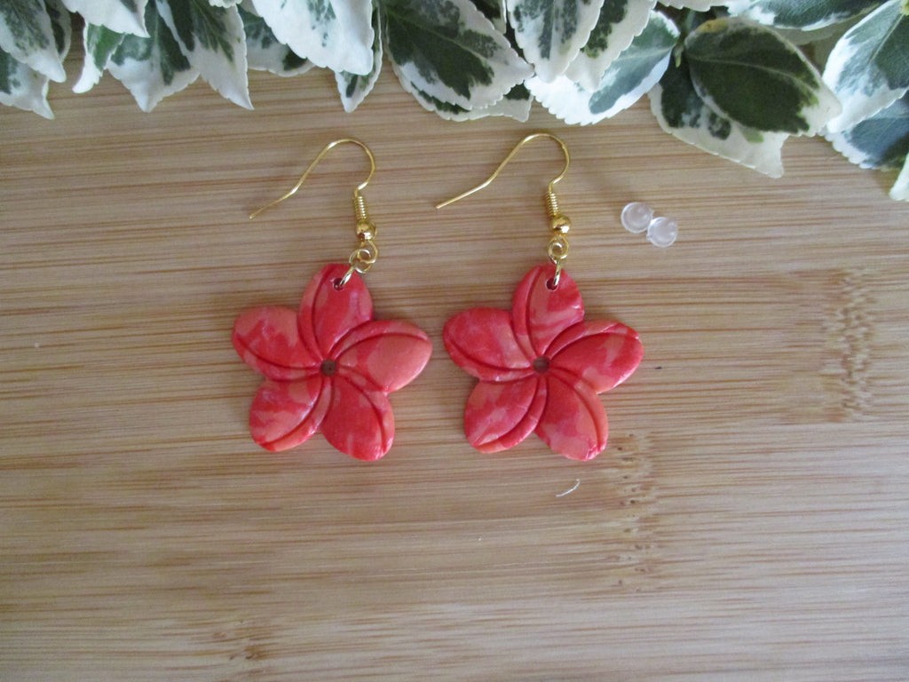 Hibiscus Corail
