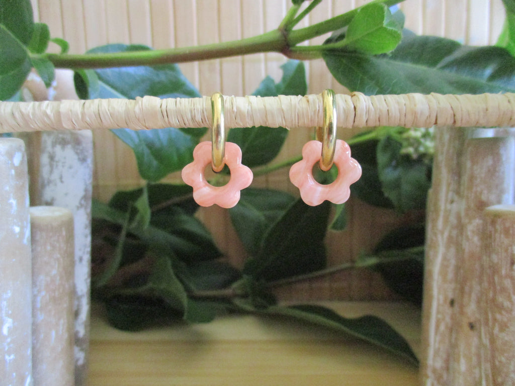 Mini Coralys