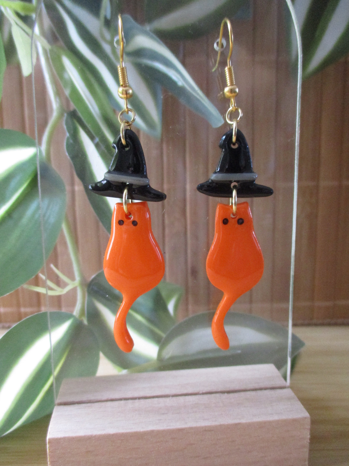 Mysti'Chat Orange