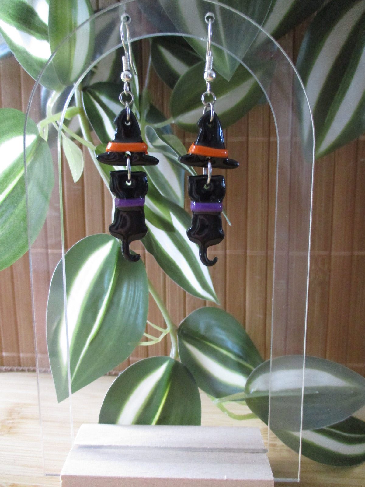 Chat'Pocus Violet